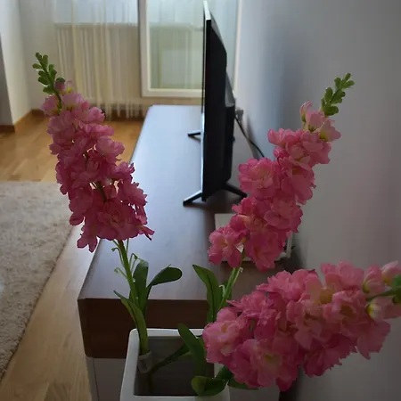 Apartment Apartman L&l *